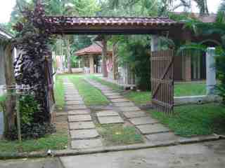 Itamambuca_aerea